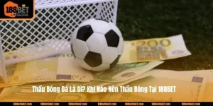 Thầu Bóng Đá Là Gì? Khi Nào Nên Thầu Bóng Tại 188BET